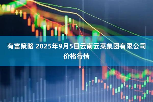 有富策略 2025年9月5日云南云菜集团有限公司价格行情