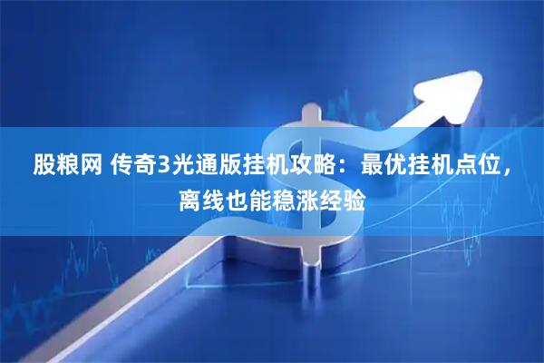 股粮网 传奇3光通版挂机攻略：最优挂机点位，离线也能稳涨经验