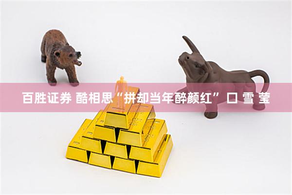 百胜证券 酷相思“拼却当年醉颜红” 囗 雪 莹