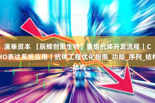 漢崋资本 【辰辉创聚生物】重组抗体开发流程｜CHO表达系统应用｜抗体工程优化指南_功能_序列_结构